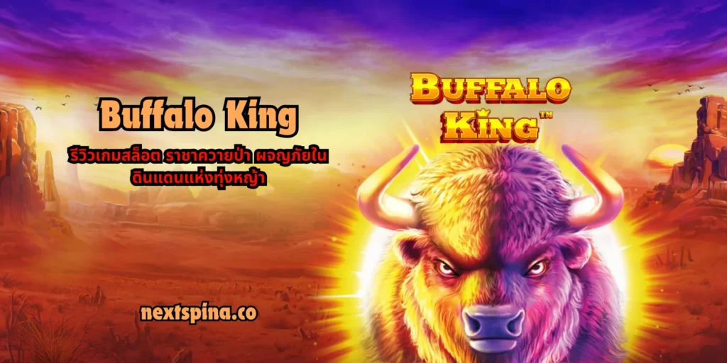 Buffalo King รีวิวเกมสล็อต ราชาควายป่า ผจญภัยในดินแดนแห่งทุ่งหญ้า